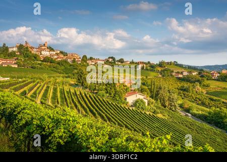 Vista panoramica estiva del paese di Neive, affacciata sui vigneti terrazzati delle Langhe, Piemonte, Italia, UNESCO Foto Stock
