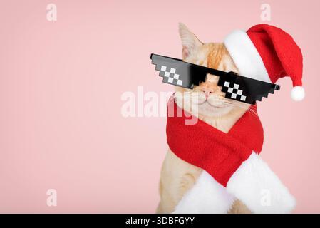 Un gatto della casa dello zenzero che indossa un cappello di Babbo Natale rosso, sciarpa e occhiali da sole con pixel. Studio minimalista girato su sfondo rosa, divertente e festoso, Foto Stock