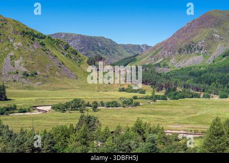 Open Valley nelle Highlands scozzesi con prati lussureggianti, colline verdi ondulate e una pineta. Cielo azzurro luminoso, paesaggio tranquillo ideale per tr Foto Stock