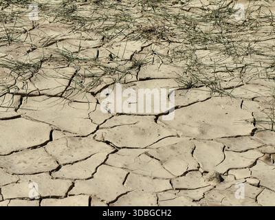 terra incrinata in una terra arida e arida, foto ravvicinata per il concetto di riscaldamento globale e cambiamento climatico Foto Stock