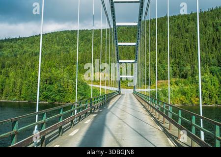 Il ponte strallato attraversa un ampio fiume, conducendo una strada lastricata in profondità in una lussureggiante foresta di conifere che copre colline ondulate sotto una somma luminosa Foto Stock