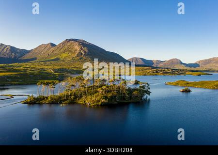 Un ambiente sereno presenta una piccola isola boscosa in un lago calmo, circondata da dolci colline, Irlanda Foto Stock