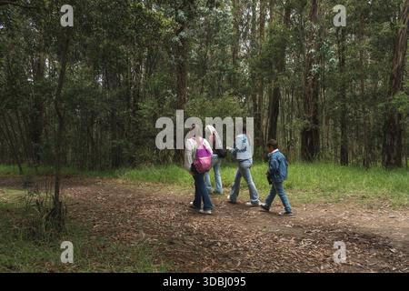 La famiglia si diverte a passeggiare insieme su un tranquillo sentiero sterrato, circondato dalla bellezza di una lussureggiante foresta verde Foto Stock