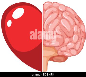 Cuore diviso e cervello simboleggiano l'equilibrio tra emozione e logica, stile vettoriale piatto Illustrazione Vettoriale
