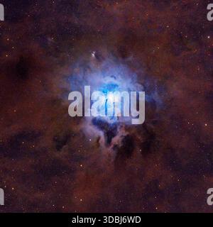 NGC 7023 (nebulosa Iris), una nebulosa a riflessione nella costellazione Cefeo. Foto Stock