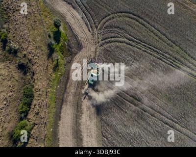 Colpo di droni ad alto angolo che cattura una grande mietitrebbia verde che si muove in un campo di soia secca recentemente raccolto nell'Uruguay rurale. La macchina Foto Stock
