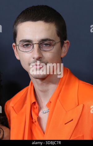 New York, New York, Stati Uniti. 16 dicembre 2025. Timothee Chalamet partecipa alla prima di "Marty Supreme" al Regal Times Square di New York. Crediti: Greg Allen/Alamy Live News. Foto Stock
