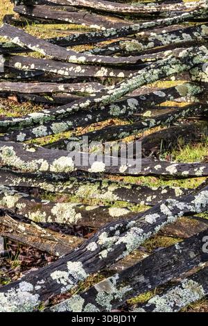 Recinzione ferroviaria divisa a Cades Cove nel Parco Nazionale delle Great Smoky Mountains. (USA) Foto Stock