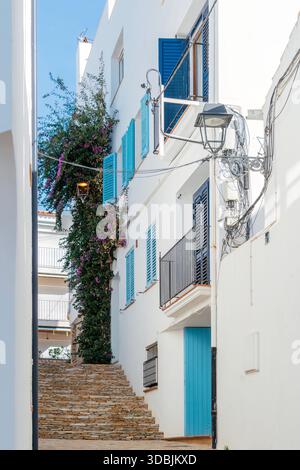 Strada stretta a Calella de Palafrugell, Costa Brava, Spagna, con pareti bianche, scalini in pietra, persiane blu brillante Foto Stock