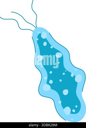 Illustrazione dei batteri lattobacilli che formano microbioma intestinale per la digestione Illustrazione Vettoriale