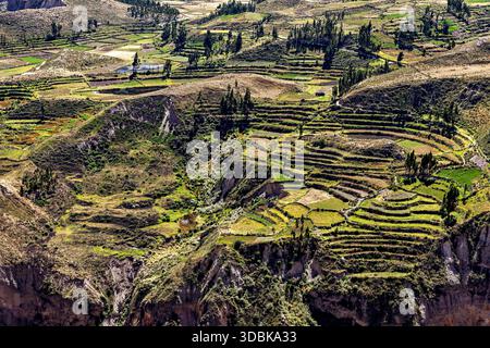 Le montagne andine e la valle del canyon colca Foto Stock