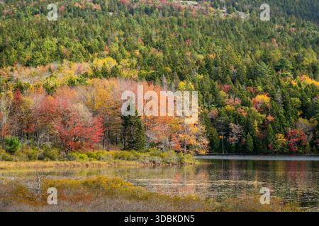 Parco Nazionale di Acadia, Maine Foto Stock