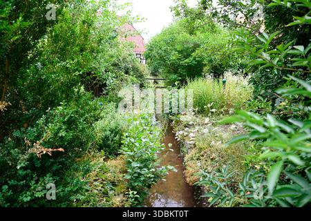 il torrente stretto e dritto scorre attraverso un lussureggiante giardino con piante alte sulle rive Foto Stock