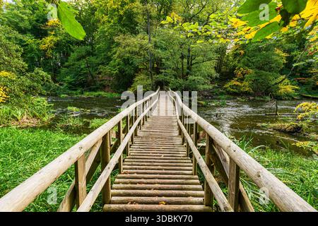 Paesaggio in caduta nella valle di Warnow, vicino a Groß Görnow. Foto Stock