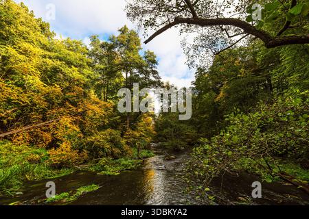 Paesaggio in caduta nella valle di Warnow, vicino a Groß Görnow. Foto Stock