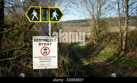 Grovely Wood, Wilton , Salisbury Wiltshire Regno Unito. 2025.l'antico bosco fa parte del paesaggio nazionale di Cranborne Chase. Foto Stock