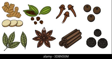 Un'affascinante illustrazione vettoriale di varie spezie intere e affettate, tra cui zenzero, baccelli di cardamomo e semi, chiodi di garofano, grani di pepe, foglie di alloro, stelle Illustrazione Vettoriale