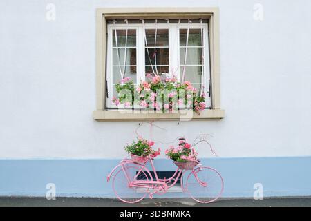 Vecchia bicicletta e finestra con pelargonium fioriti (Pelargonium spec.), Neuf-Brisach, dipartimento Haut-Rhin, Alsazia, Francia Foto Stock