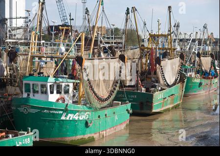 Commerciale barche da pesca sulla flotta di Fisher quay, King's Lynn, Norfolk, Regno Unito. Foto Stock