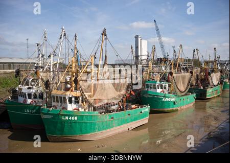 Commerciale barche da pesca sulla flotta di Fisher quay, King's Lynn, Norfolk, Regno Unito. Foto Stock