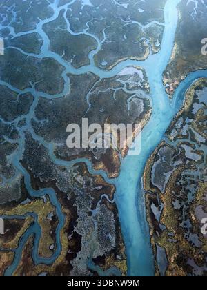Immagine aerea della laguna di Aveiro che mostra rami naturali del fiume che formano intricati motivi organici e texture sulle paludi costiere. Foto Stock