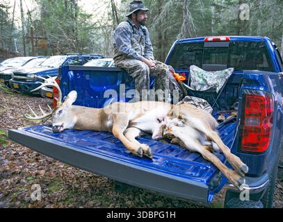 Hunter seduto accanto a cervi morti Foto Stock