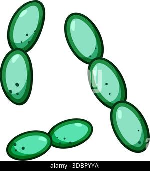 Batteri lattobacilli che formano cellule sane del microbioma intestinale Illustrazione Vettoriale