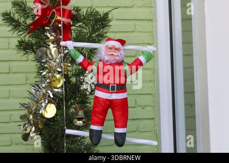 Gioiosa decorazione natalizia con Babbo Natale rosso arrampicata scala bianca vicino alla parete di mattoni verdi e al ramo di pino con ornamento dorato cattura festiv Foto Stock