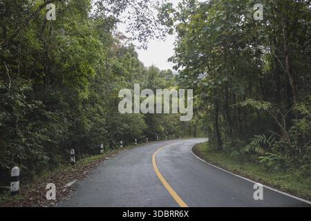 Strada panoramica curva che si snoda attraverso una lussureggiante foresta tropicale verde e una natura fresca con un'atmosfera tranquilla che invita a un viaggio tranquillo su una superficie asfaltata bagnata A. Foto Stock