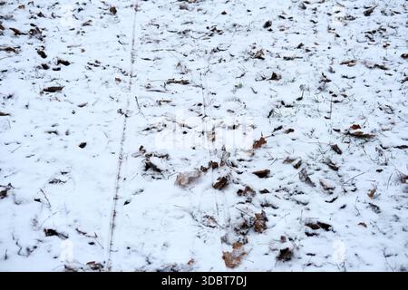 Impronte umane sparse su uno strato di neve sottile sul terreno e sui rifiuti di foglie, vista orizzontale, texture bianche e marroni miste, luce diurna sovrastata. Foto Stock