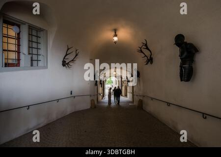 Sigmaringen, Germania - 09 settembre 2025: Veduta del tunnel del castello di Hohenzollernschloss, le sue pareti bianche adornate da corna e figure scure, leadino Foto Stock