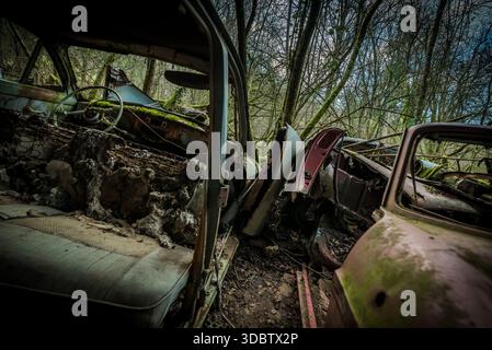Cimitero di auto d'epoca ricoperto di muschio nella foresta ricoperta di vegetazione - interni arrugginiti e bonifica della natura Foto Stock
