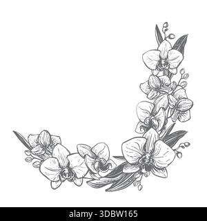 Orchidea vettoriale. Composizione di fiori, foglie e gemme di phalaenopsis. Disegno a inchiostro nero che imita l'incisione. Disegno al tratto di un fiore esotico. Bouquet di piante tropicali. Illustrazione Vettoriale