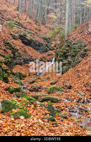 Vista di una piccola cascata muschiata che si tuffa attraverso un burrone ricoperto di foglie autunnali ardenti, una scena serena della transizione della natura, Tajov, Ba Foto Stock