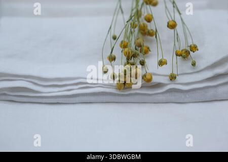 Le cialde di semi di lino dorati sono posizionate su un tovagliolo bianco. Biancheria sbiancata. Profondità di campo ridotta. Copia spazio. Foto Stock