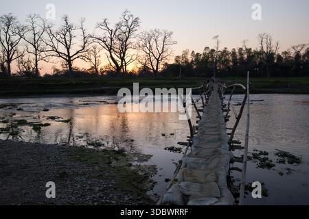 Passerella sospesa fatta a mano su un fiume poco profondo al tramonto nel Nepal rurale, con sagome di alberi e sfondo naturale. Foto Stock