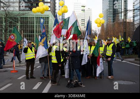 Migliaia di agricoltori provenienti da oltre 40 organizzazioni agricole europee, tra cui il Belgio Boerenbond, marciano dalla stazione di Bruxelles Nord via Wetstraat Foto Stock