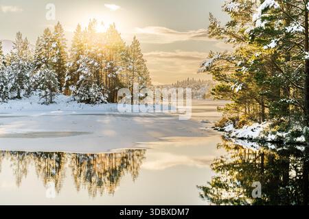 Vista della luce del sole che penetra attraverso alberi innevati che proiettano un bagliore dorato sulle tranquille e ghiacciate acque del paesaggio invernale, la Foresta Caledoniana e Cairngor Foto Stock