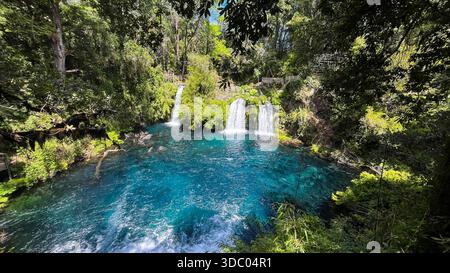 Una spettacolare vista panoramica delle cascate Ojos del Caburgua. L'intenso colore blu contrasta vividamente con la lussureggiante foresta verde circostante Foto Stock