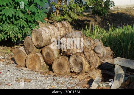 Scenario all'aperto con tronchi di palma impilati su terreno di ghiaia, circondato da piante lussureggianti e una panchina di cemento in un giardino rustico. Foto Stock