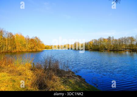 Vista del lago forestale vicino a Saerbeck e del paesaggio circostante. Natura in inverno vicino al lago balneabile di Saerbeck. Foto Stock