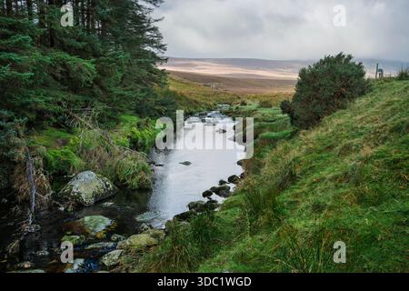 Il fiume Glenmacnass scorre dalla foresta alla brughiera aperta, paesaggio autunnale con luce soffusa sulle colline lontane delle Wicklow Mountains. Foto Stock