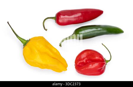 Peperoni peperoncini, tra cui jalapeno, habanero e altre varietà, per creare una raccolta di ingredienti alimentari piccanti. Vista dall'alto isolata su sfondo bianco. Foto Stock