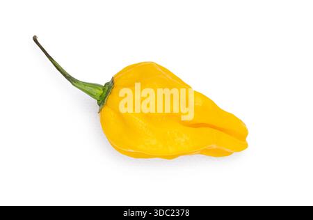Peperone fantasma jolokia di bhut giallo su bianco, noto per il calore estremo. Vista dall'alto isolata su sfondo bianco. Foto Stock
