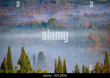 Foto fotografica artistica di strati di alberi e colline che si dissolvono nella Blue Morning Mist a Corfù Foto Stock