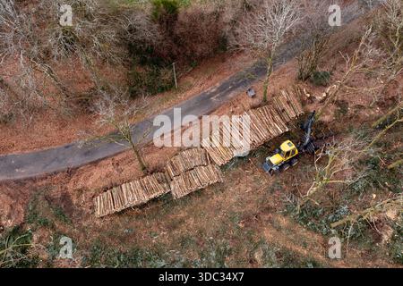 Nel Parco regionale Morvan, il 85% delle foreste appartiene a privati. La gestione forestale si sta quindi orientando verso la redditività economica Foto Stock