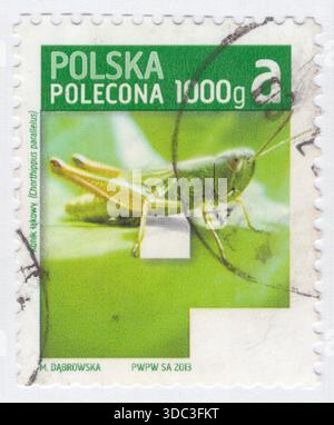 POLONIA — 2013 settembre 30: P1000a francobollo a circolazione economica e prioritaria di smeraldo e verde raffigurante il cavallo del prato (Chorthippus parallelus) sullo sfondo di una lettera stilizzata P. Grasshoppers sono un gruppo di insetti appartenenti al sottordine Caelifera. Sono tra quelli che sono forse i più antichi gruppi viventi di insetti erbivori da masticazione, risalenti al Triassico inferiore, circa 250 milioni di anni fa. Le cavallette sono in genere insetti che abitano a terra con potenti zampe posteriori che consentono loro di sfuggire alle minacce saltando vigorosamente Foto Stock