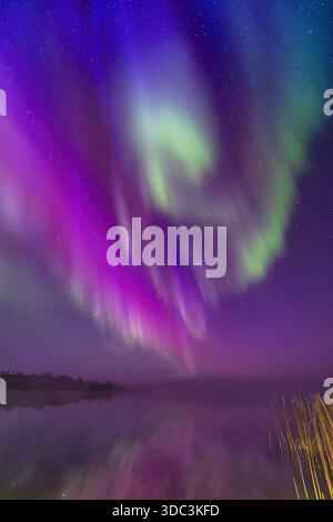 Yellowknife, Canada - 23 settembre 2025: Il nord si illumina con un lago sullo sfondo Foto Stock
