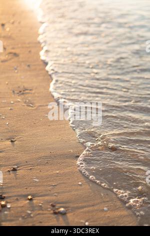La luce soffusa e dorata del sole illumina le dolci onde del mare che si infrangono sulla spiaggia sabbiosa, catturando le superfici tranquille della spiaggia e le piccole conchiglie in una tranquilla spiaggia costiera sc Foto Stock