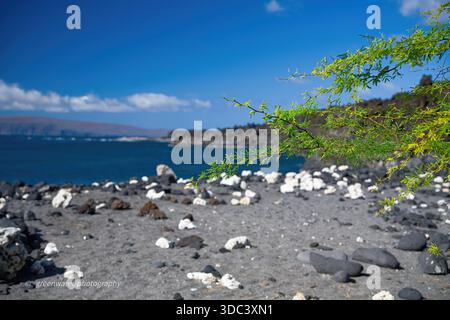 Costa di Kanaio Foto Stock